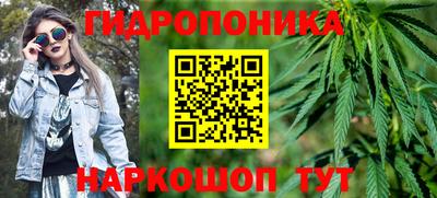 PSILOCYBIN Бийск