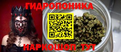 PSILOCYBIN Бийск