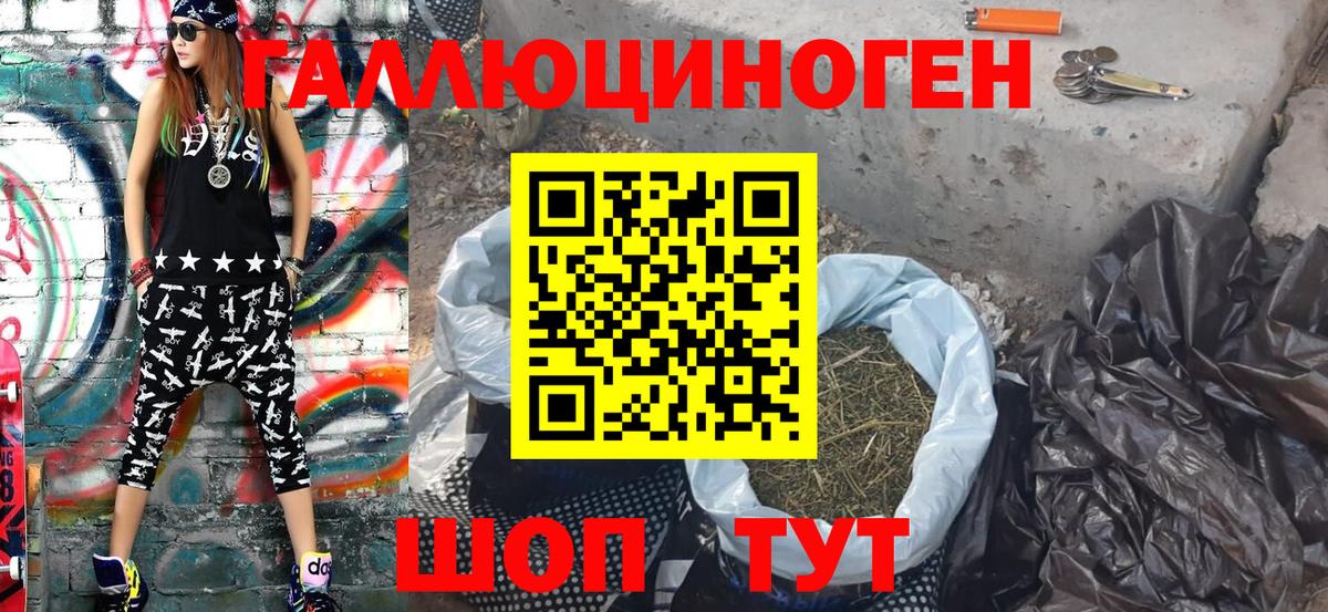 Галлюциногенные грибы Psilocybe Калуга